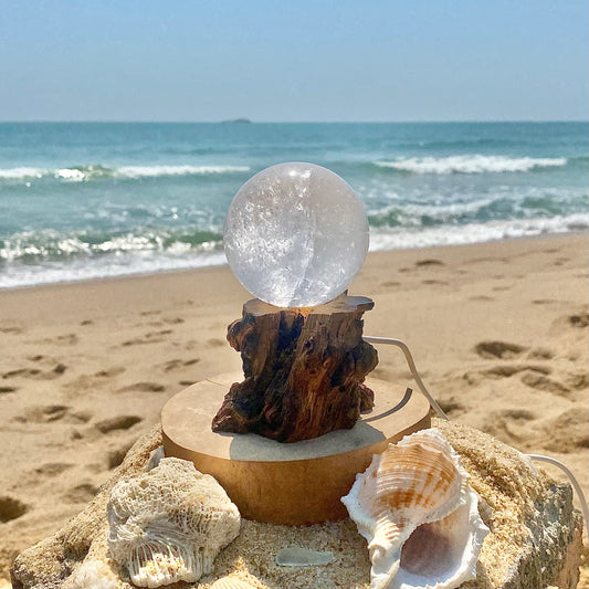 Raw Wood Base Stump Light-Up Holder